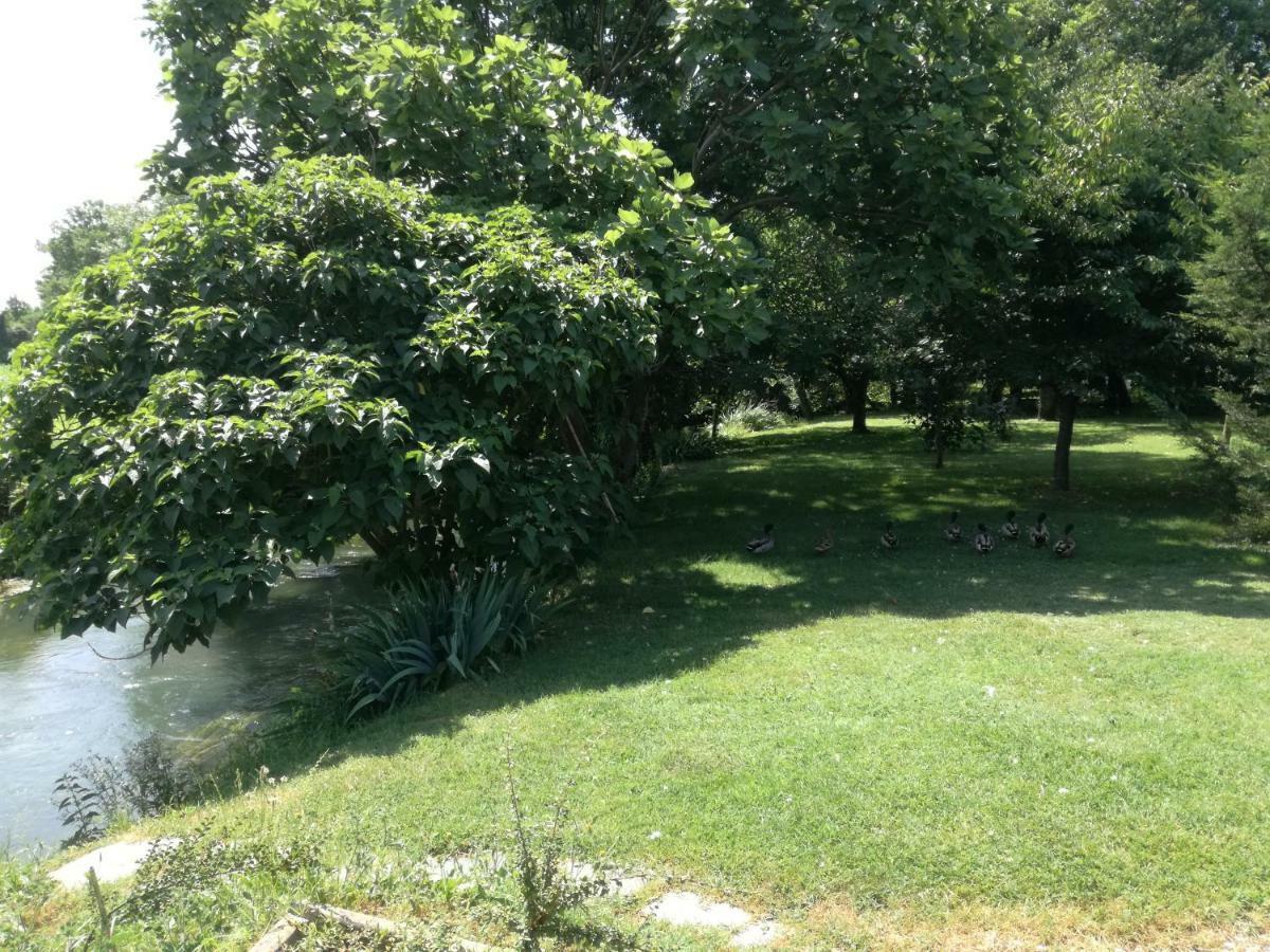 Rio Taglio Apartment Cervignano del Friuli Bagian luar foto